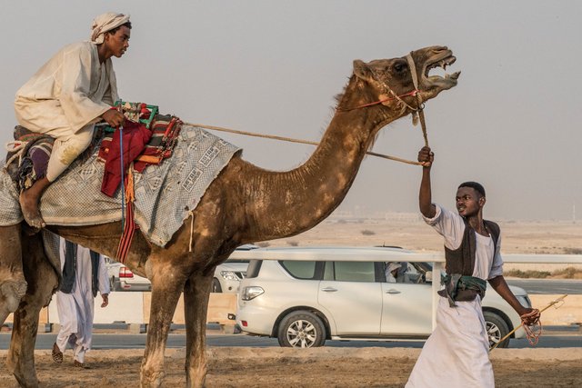 Camel+Robots+by+Far+Features+_+Far+Features+media+production+company+_+Qatar+Desert+_+animal+abuse+_+photo+essay (1).jpeg