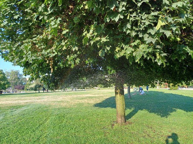 20250805_071958.jpg