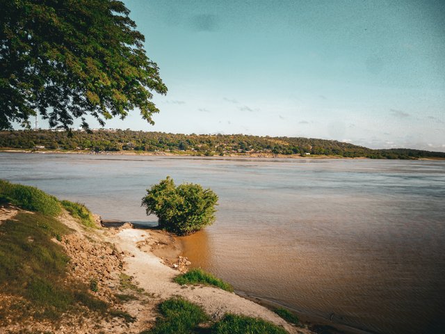 P1330097.jpg