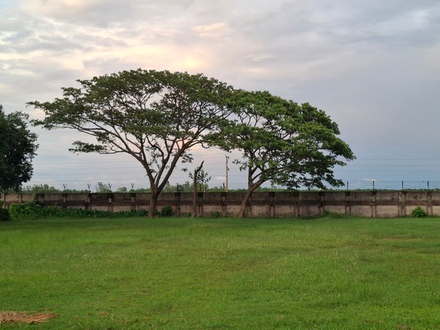 1000031965.jpg