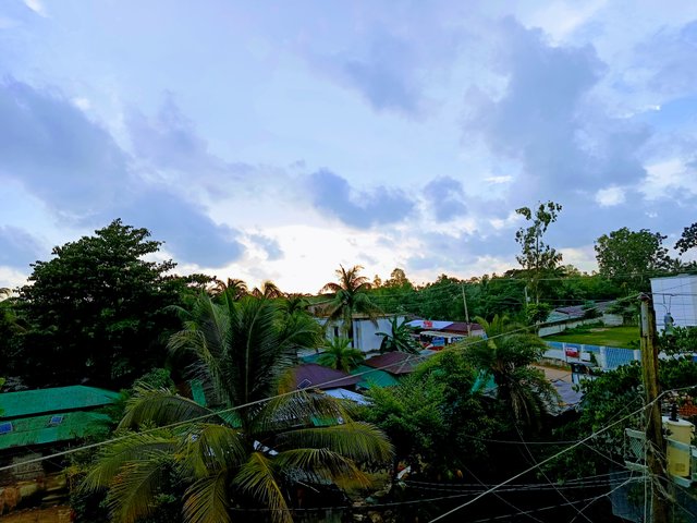 IMG_20250718_175108.jpg