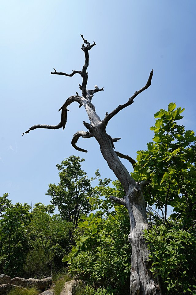 b-DSC07645.JPG