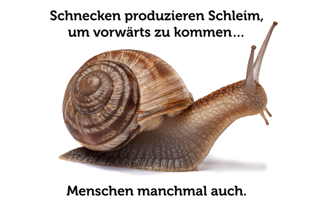 Schleimen-Schleimer-Schnecke-Spruch-zitat.png