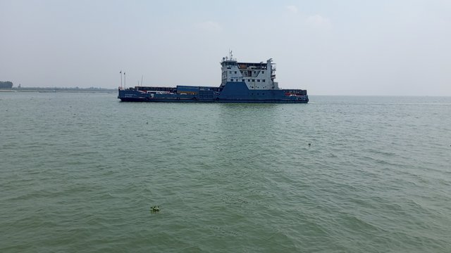 IMG_20250308_121525_5.jpg