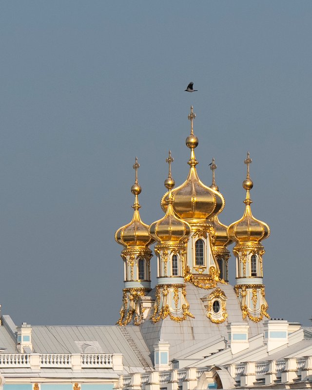 DSC02814-2.jpg