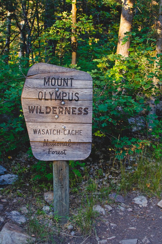 The Mount Olympus forest sign.JPG