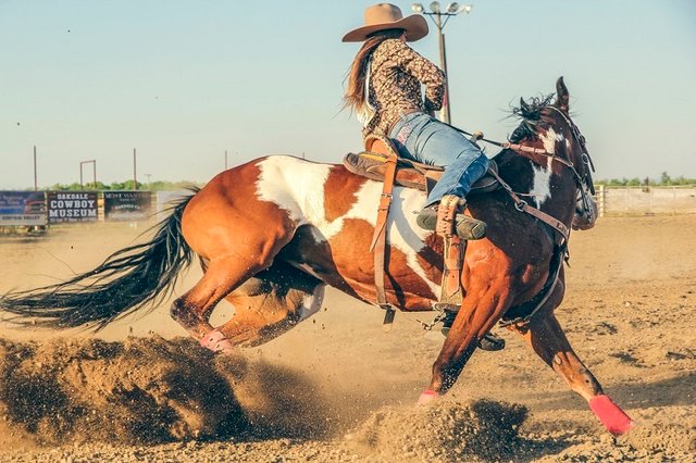 cowgirl-fast-main.jpg