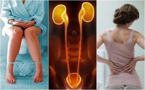 kidney-failure-symptoms.jpg