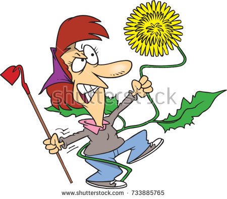 stock-vector-cartoon-woman-fighting-with-the-weed-in-her-garden-733885765.jpg