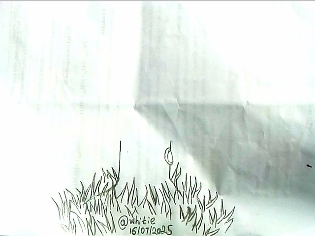 IMG_20250616_174122.jpg