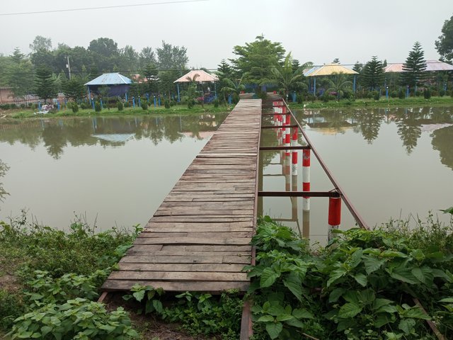 IMG_20250920_071332_525.jpg