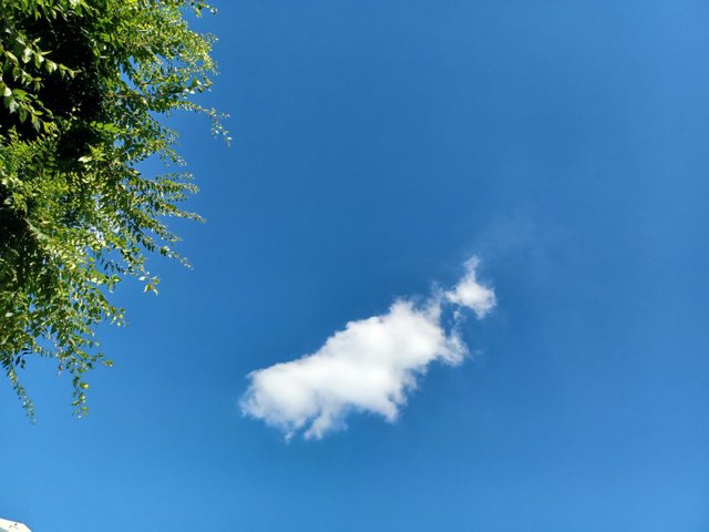 1753535603621.jpg