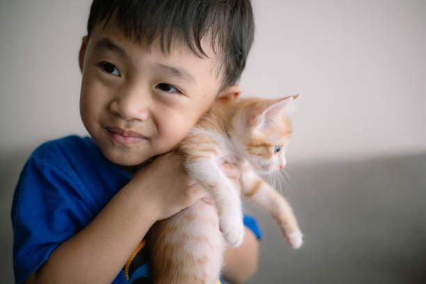 istockphoto-2132662153-612x612.jpg
