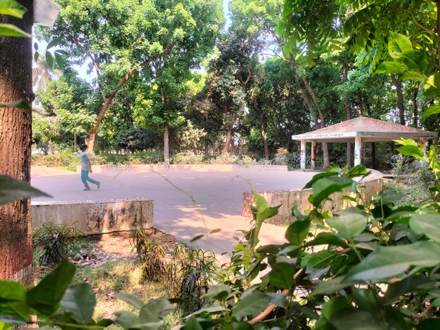 IMG20250409091015.jpg