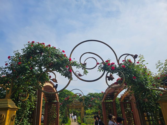 KakaoTalk_20250519_232750785_02.jpg