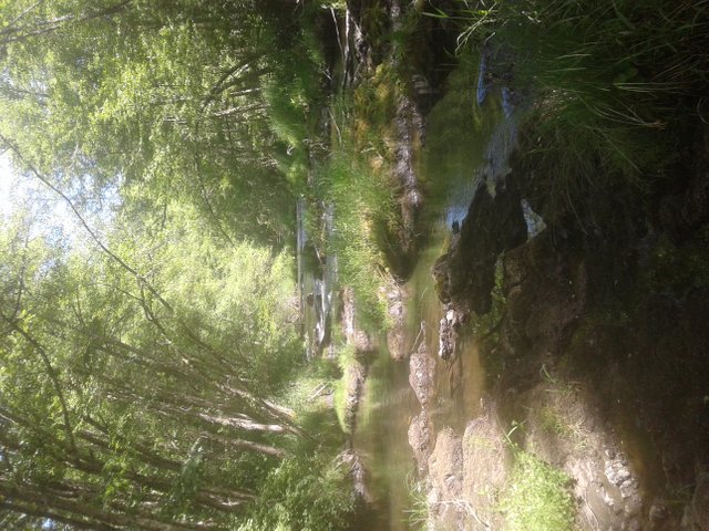 20180602_150506.jpg