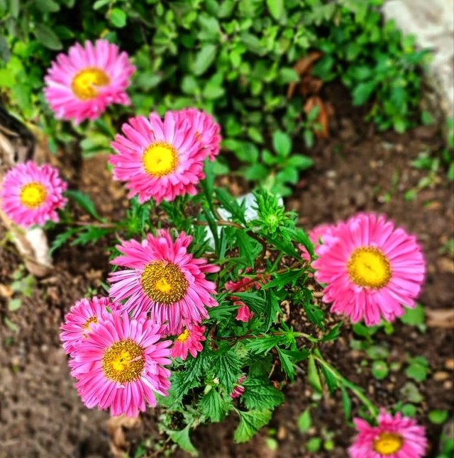 IMG_20250915_214355.jpg