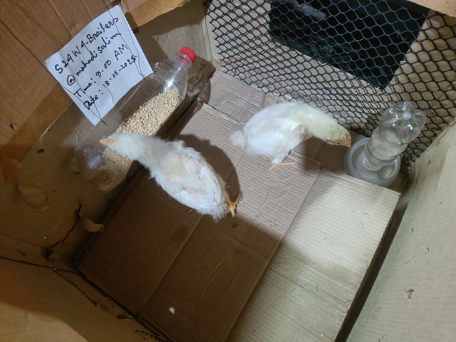 IMG20250518095106.jpg