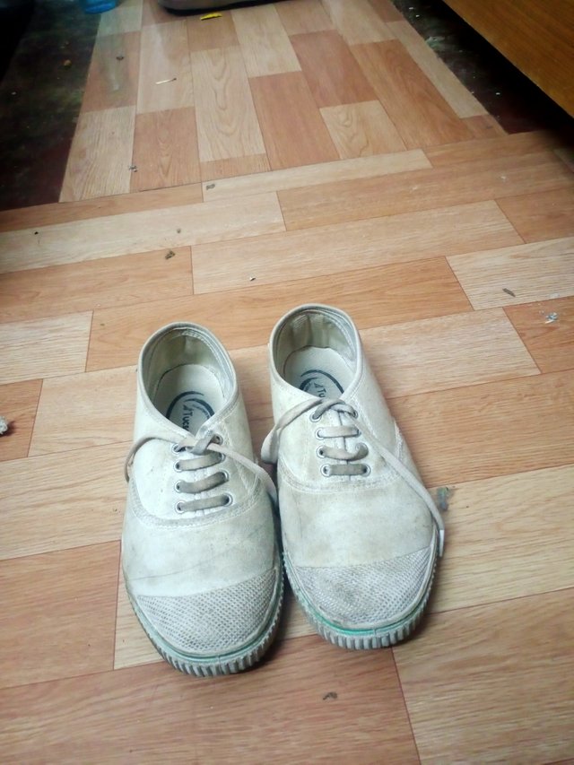 IMG20230613083333.jpg