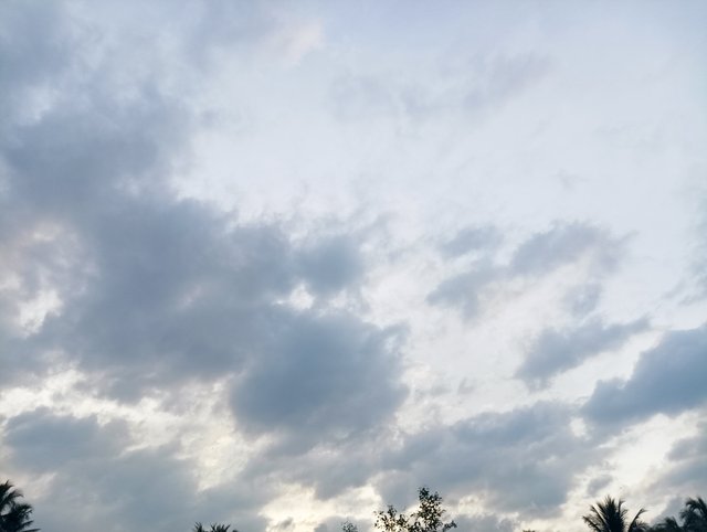 IMG_20250604_181507.jpg
