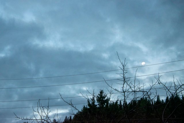 20211023_2.jpg