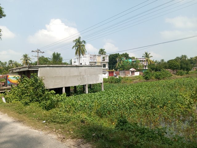 IMG_20240918_101918_411.jpg