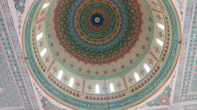 IMG_20250620_170737.jpg