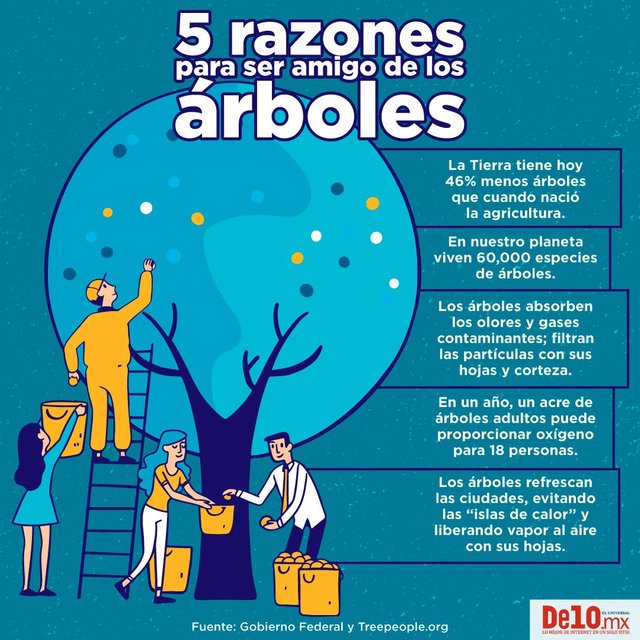 arboles queremos resaltar algunas de sus bondades ⤵️.jpg