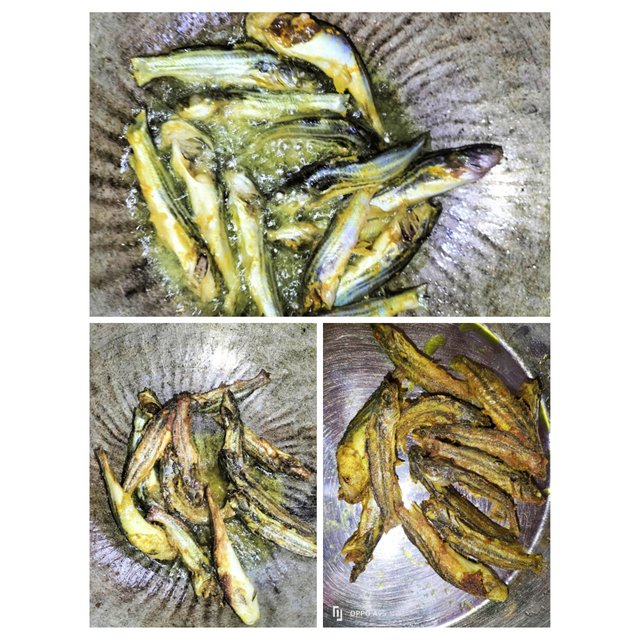 PhotoCollage_1756117268080.jpg