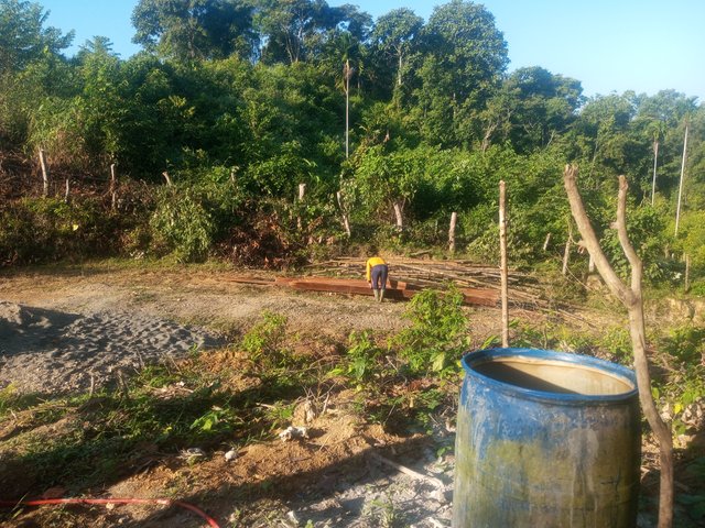 IMG_20250701_080243_017.jpg