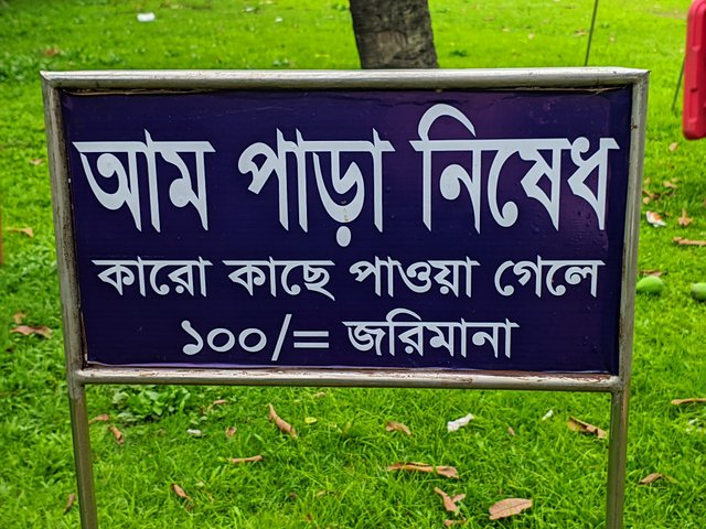 1000035248.jpg