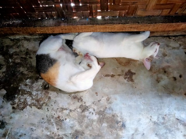 IMG20250702153450.jpg