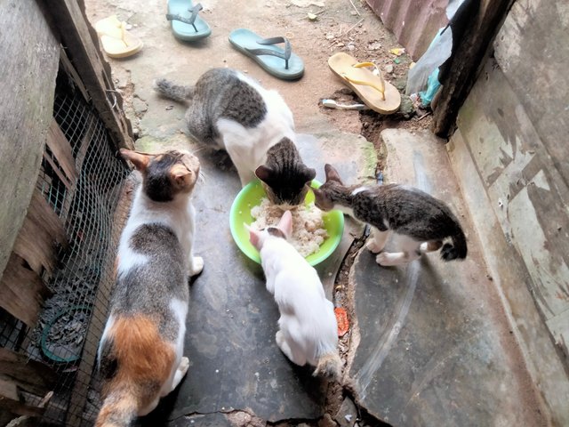 IMG20250328174239.jpg