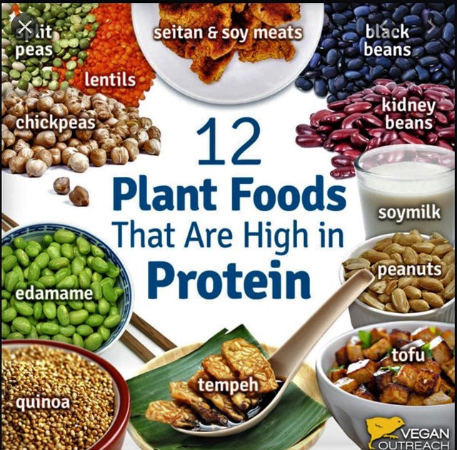 1 12 plant foods high in protein 230920.jpg