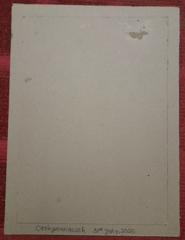 20250731_104920.jpg