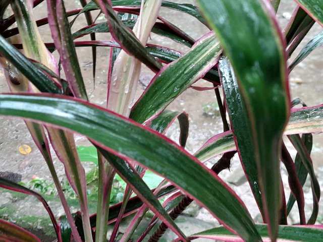 20250529_121035.jpg