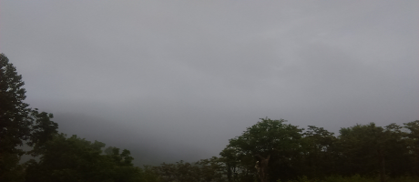 a-foggy-morning-sm.png
