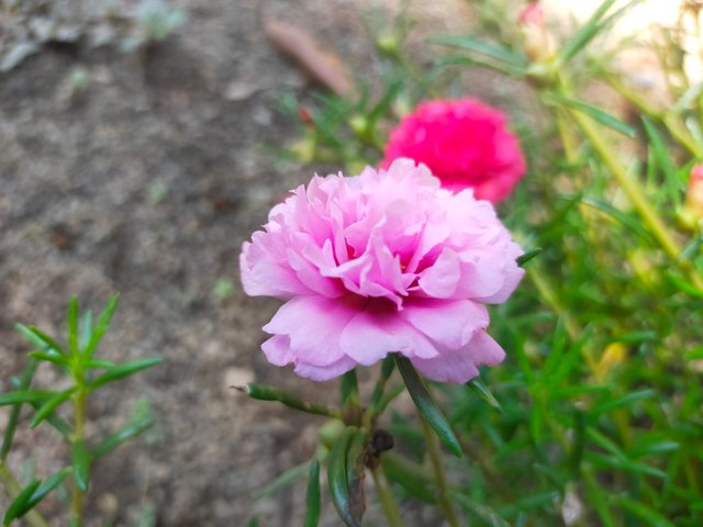 IMG20230528112705.jpg