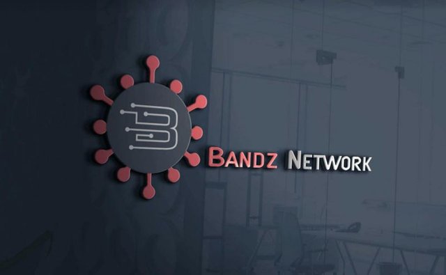 banznetwork_face1.JPG