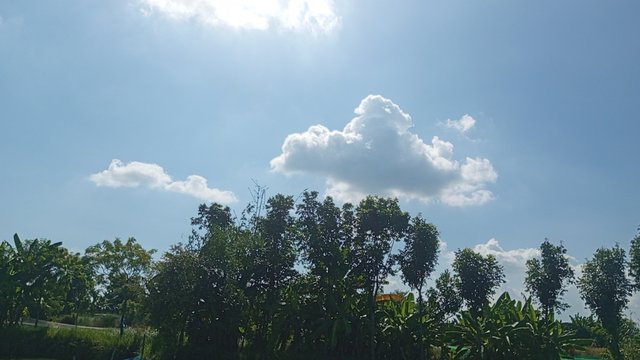 IMG_20240829_145333_8.jpg
