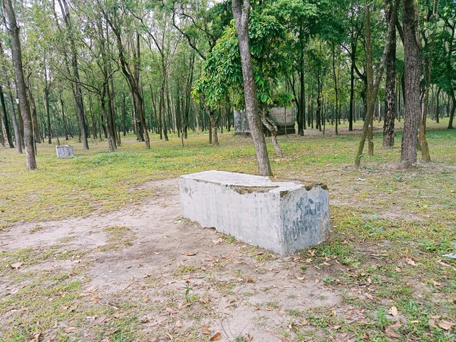 IMG20230613115250.jpg