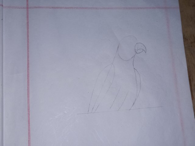20250708_113506.jpg