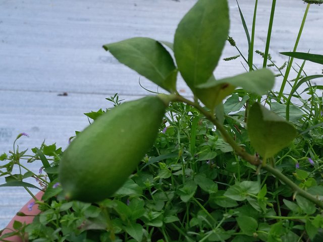 20230903_175841.jpg