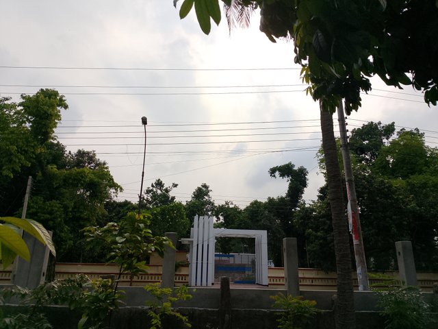 1000038278.jpg