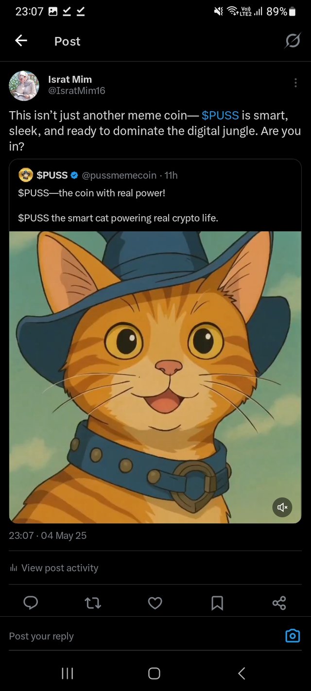 Screenshot_20250504_230728_X.jpg