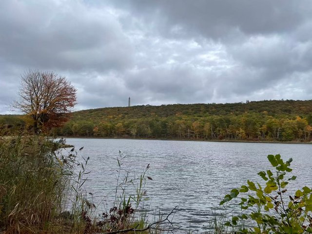 ca1c57e9bc58f9ad0baa