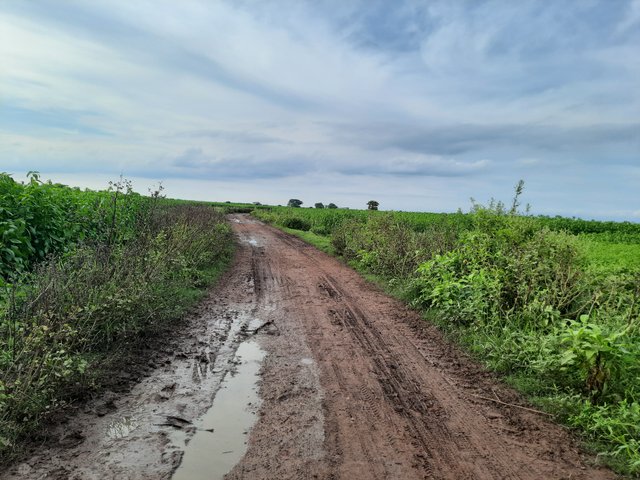 20250530_162531.jpg