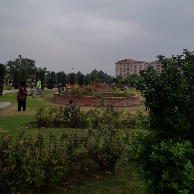 20250817_181847.jpg