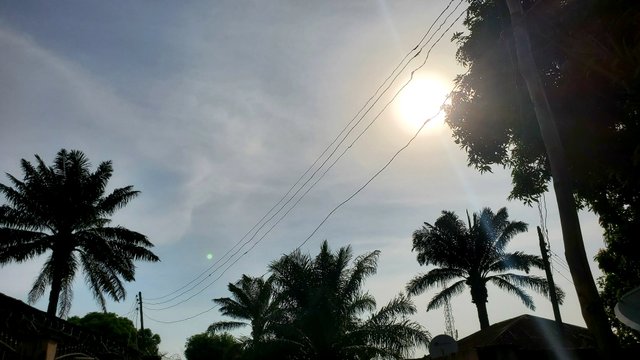 20250424_161944.jpg