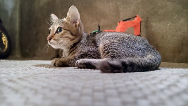 IMG_20250720_172846.jpg